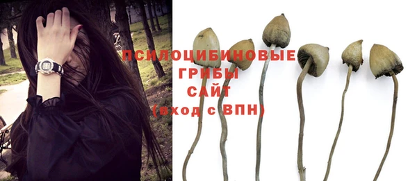 каннабис Вязники