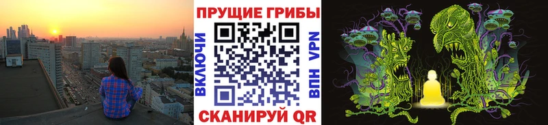 купить   MEGA зеркало  Псилоцибиновые грибы Psilocybe  Иваново 